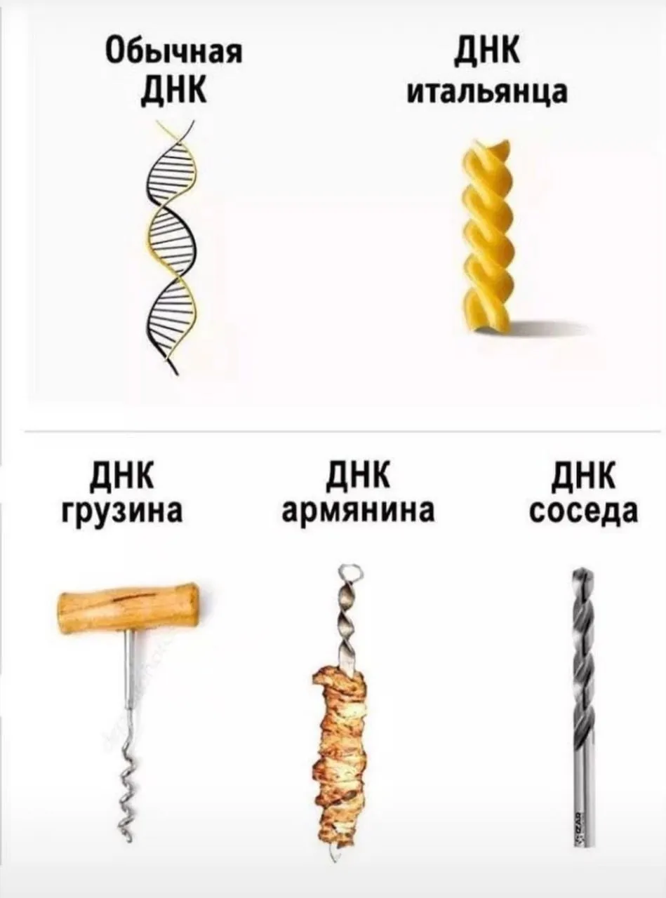Как мои действия могут изменить ДНК моих детей? Никогда в это не верил.